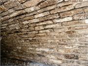 35_August_Brasche_Koch_RootCellar_WashingtonTownship