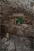 50_August_Brasche_Koch_RootCellar_WashingtonTownship