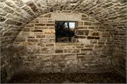 54_August_Brasche_Koch_RootCellar_WashingtonTownship